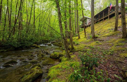 The Owl's Perch - Foto 6