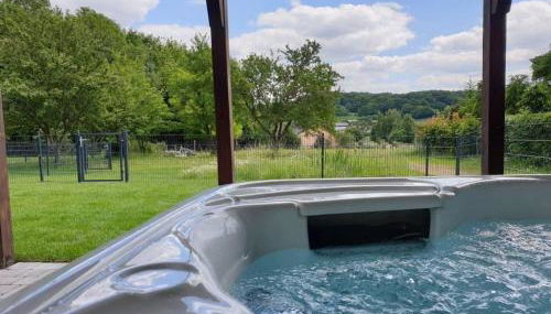 Eifel-Dream-Krausbuche - Foto 2