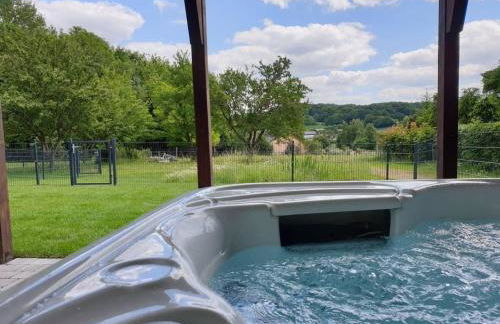 Eifel Dream Krausbuche - Foto 2