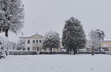 Villa Serena Agriturismo - Foto 86