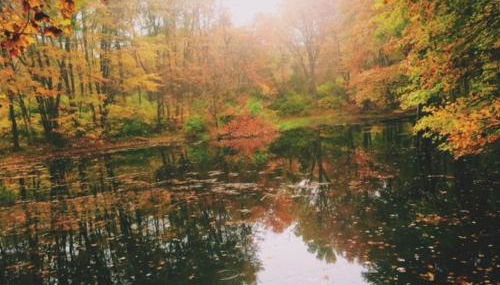 7 bedroom for groups near DC and Balt - Foto 5