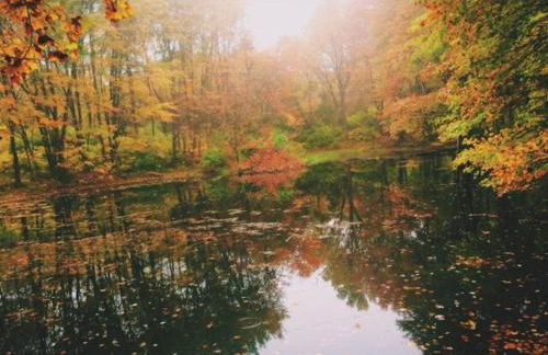 7 bedroom for groups near DC and Balt - Foto 5