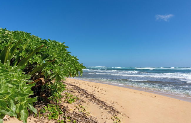 Hanalei Colony Resort C2 - Foto 28