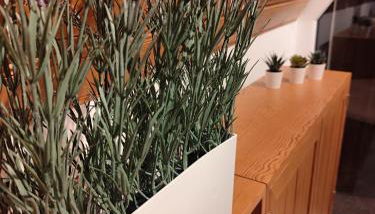 Eulenburg am Reuthsee Nurdachhaus mit Garten - Foto 3