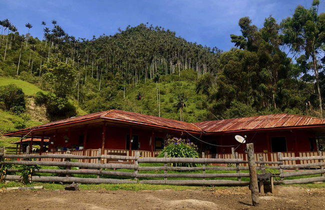 Excursion au volcan Machín - Photo 6