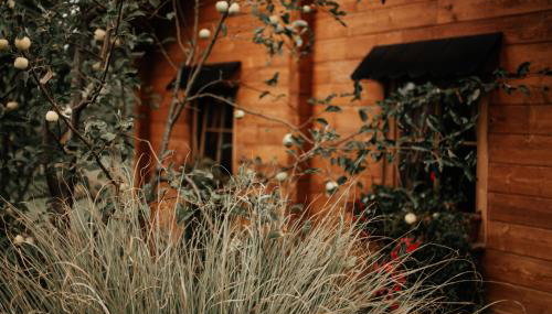 Apartments Zafran - Foto 3