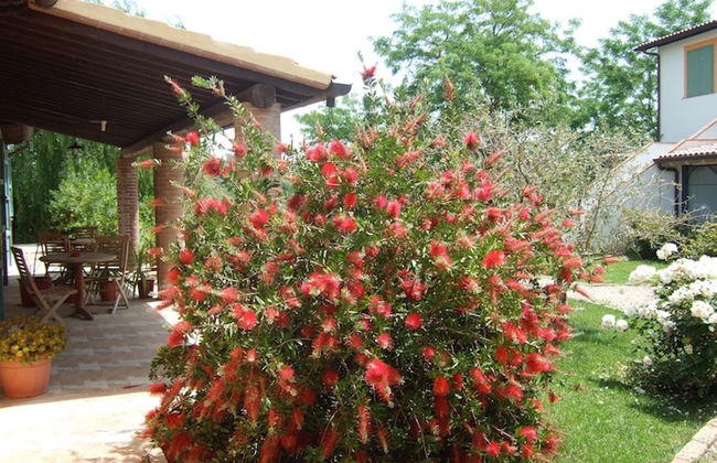 Agriturismo Quarto Podere - Photo 23