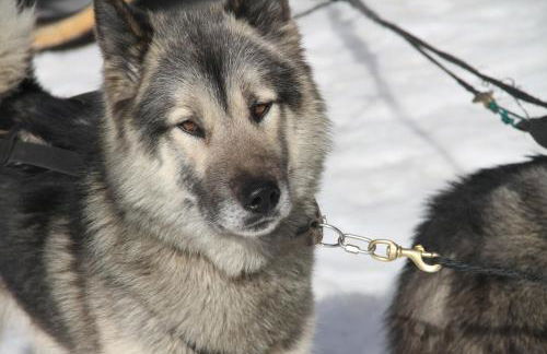 Les Curtillets - Foto 35