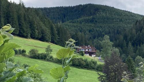 Appart Herzglück - Foto 2