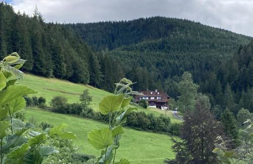 Appart Herzglück - Foto 2