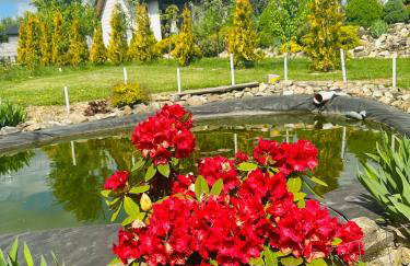 Domek KRAJNO ŚWIETA KATARZYNA - Foto 16