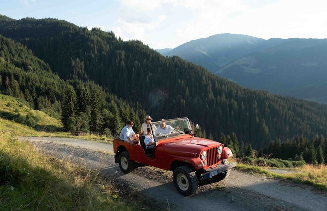 Buccara Zwischenbachalm - Foto 27