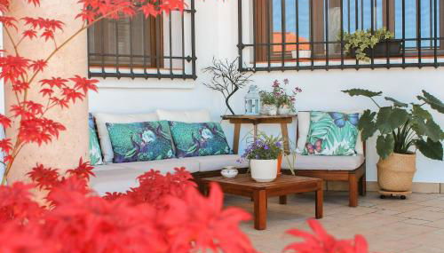 Insula Barataria - Foto 3, Garden