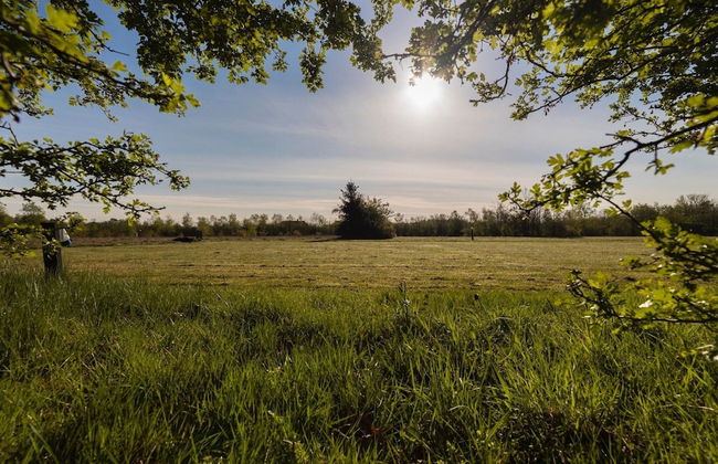 Luxury Villa in Drenthe With Outdoor Spa - Foto 37