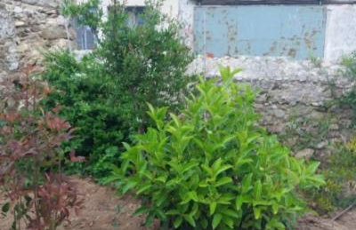 Maira Arch House - Foto 27