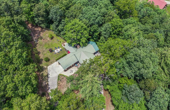 Treetop Oasis Retreat - Foto 39