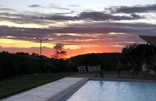 LD House- Bananeiras - Photo 55