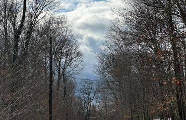 Luxury Cabin with Outdoor HotTub-NEW Construction - Foto 37