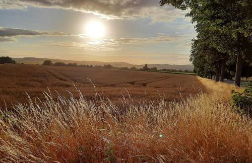 Ferienwohnung Auf gut Glück, Lautenthal, Harz - Foto 15