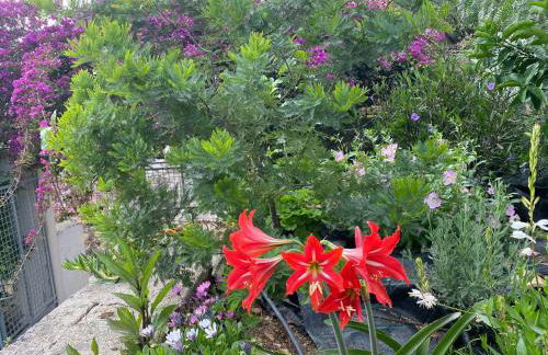 Antiklea Villa - Foto 15