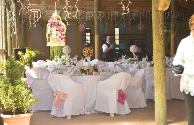 Bethells Beach Cottages - Foto 11