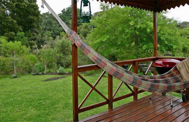 Forest Edge - Foto 41