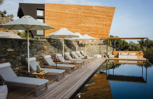 Five Olive Dream Trip - Photo 12