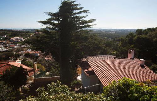 The Shelter - Foto 39