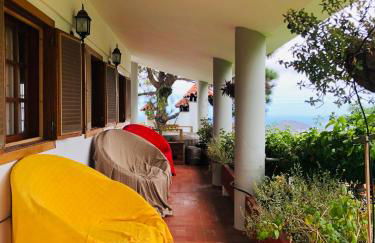 Los Viejitos en Firgas - Foto 33