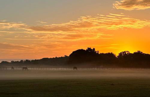 Couples Cottage - Serene Getaway - Foto 71