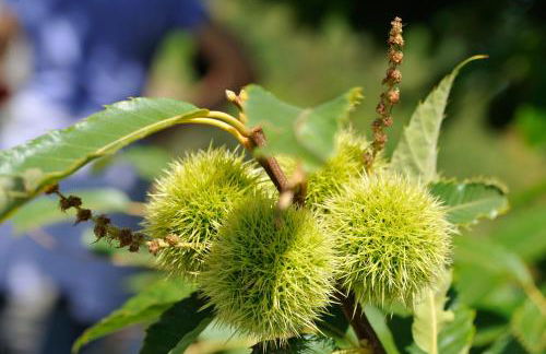 A Casa da Eira - Foto 18