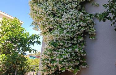 Apartmani Marinović - Foto 23