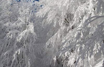 Domek nad Sanem - Foto 6