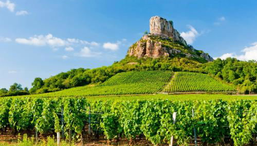 Ancien cuvage rénové au cœur du vignoble - Foto 4