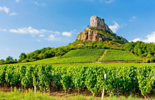 Ancien cuvage rénové au cœur du vignoble - Foto 4