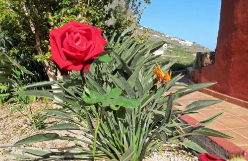 Casa Rural La Pitanga - Foto 29