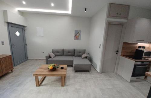 Doukas Home - Photo 6