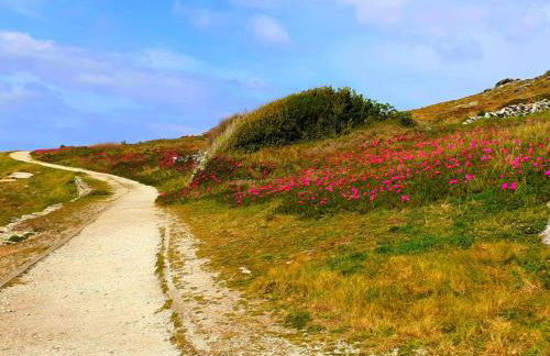 O Recuncho de Macías - Foto 33