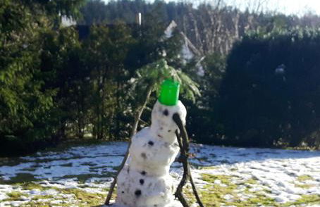 Waldhaus Hahnenklee - Foto 50