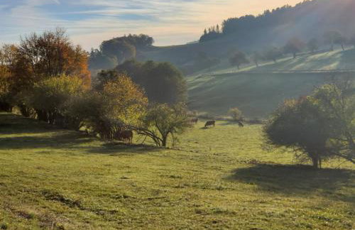 Ferienwohnung Zum Grünen Berg - Foto 19