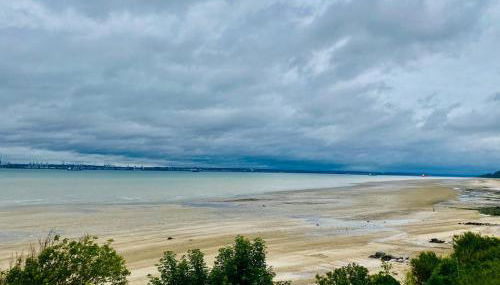 La sauvagine les pieds dans l'eau - Foto 4