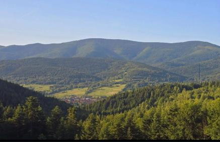 Apartament Buldog - Foto 1