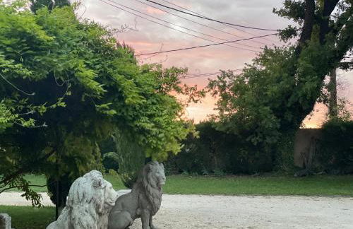 Mas de la Sacristière - Photo 50