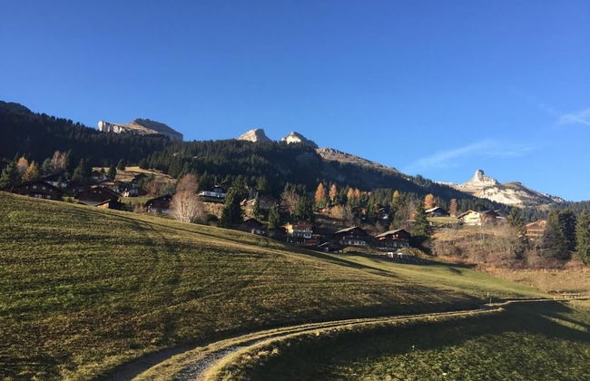 La petite Silène - Foto 31