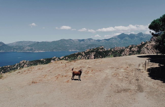 Résidence de la Tour - Foto 39