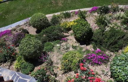 La BERGERONNETTE - Foto 15