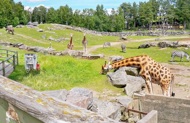 4 Person Holiday Home in Hokerum-by Traum - Photo 18