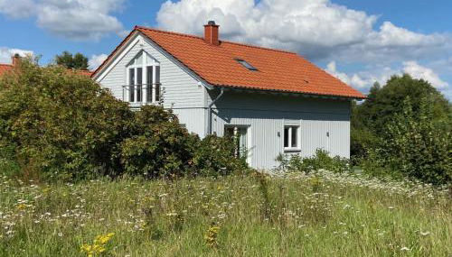 Rapsblütenhaus - Foto 3, Garden