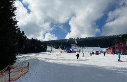 Erzgebirgsglück Jöhstadt EG - Foto 16