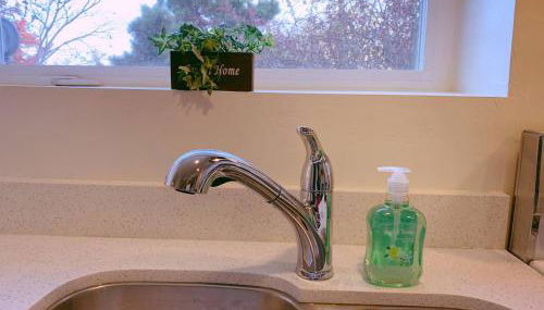 Arboretum Escape - Foto 5